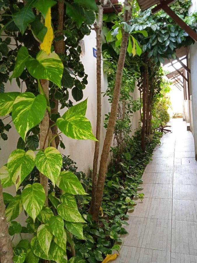 La Perla Hotell Praia de Pipa Exteriör bild
